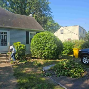 Bush Trimming by Platinum Yards reviewed on August 15, 2025