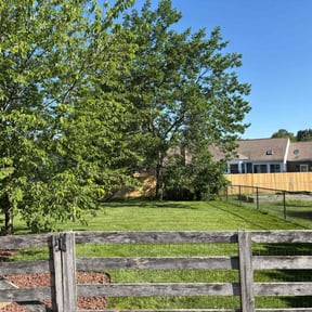 yard work by Keith Vickers reviewed on November 24, 2025