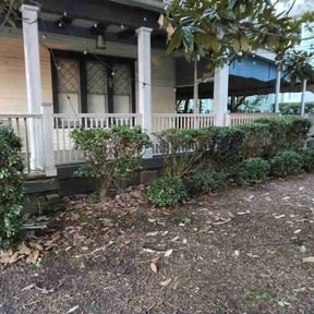 Bush Trimming by Diamond R Equipment Services reviewed on November 7, 2025