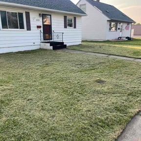 grass maintenance by Chase Hirdler reviewed on June 19, 2025