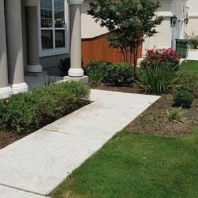Bush Trimming by WINNERS CIRCLE LAWN CARE LLC. reviewed on August 18, 2025