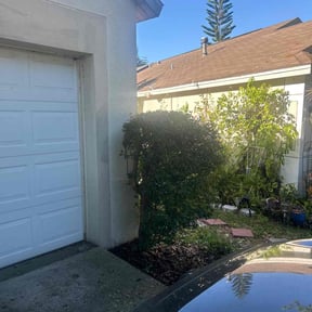 Bush Trimming by Diego Mojica Lawn Care reviewed on August 19, 2025