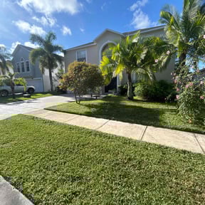 landscaping by All season landscaping reviewed on August 18, 2025