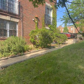 Bush Trimming by Green Forrest Lawn Care reviewed on April 12, 2026