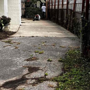 Flower Bed Weeding by Florida LawnScapers LLC reviewed on November 21, 2025