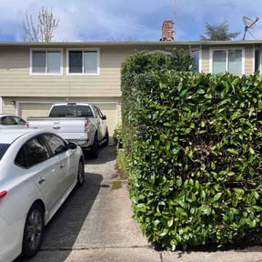 Bush Trimming by Patriot Pro Services PTC reviewed on April 10, 2026