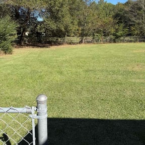 Bush Trimming by BlueStar Landscaping LLC reviewed on October 21, 2025