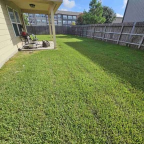 yard care by 911 elite landscaping reviewed on August 19, 2025