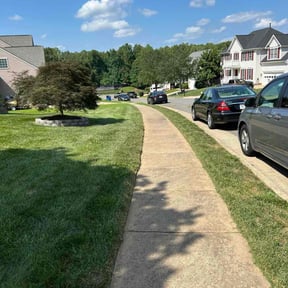 yard service by Allen Investments reviewed on August 20, 2025