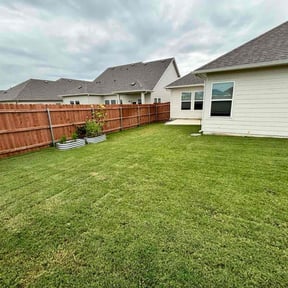 yard work by Native Landscapes Of Central Florida LLC reviewed on August 15, 2025