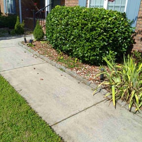 Bush Trimming by Abney&#039;s lawncare reviewed on October 23, 2025