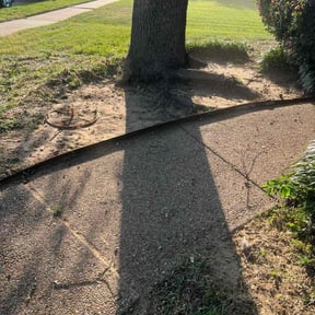 Flower Bed Weeding by EcoLush Lawn Innovations reviewed on November 24, 2025