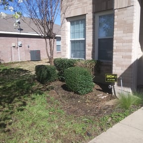 Bush Trimming by CCs lawn service LLC reviewed on August 16, 2025