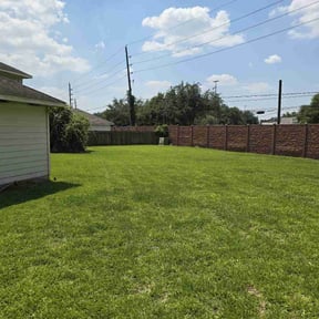 yard service by GALVRI Lawn and Services reviewed on August 16, 2025