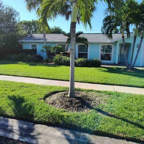 landscape maintenance by Capital Mowing reviewed on January 7, 2026