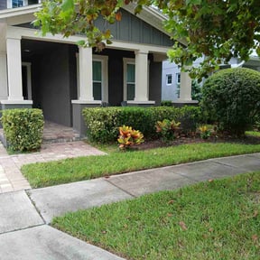 turf care by Sandra Pagan reviewed on January 18, 2025