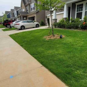 landscaping by Curb Appeal reviewed on January 20, 2026