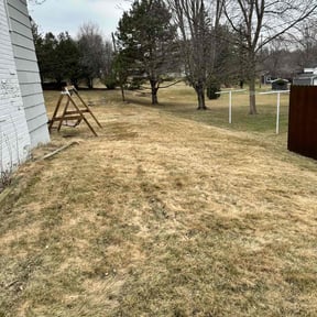 Leaf Removal by A-1 Affordable Lawn Care reviewed on October 2, 2025