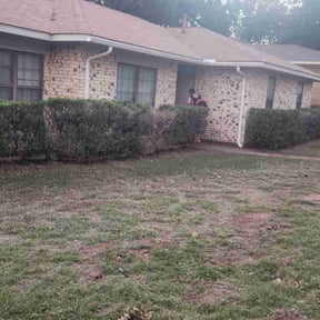 Leaf Removal by Bunnie&#039;s Lawn care reviewed on August 17, 2019