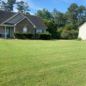 lawn care services by TEES SOLUTION reviewed on September 8, 2023