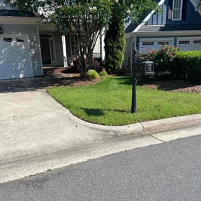 yard care by The Landscape Watch reviewed on August 15, 2025