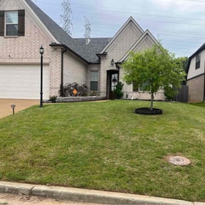 yard work by Perez Landscaping inc reviewed on November 20, 2025