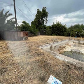 Leaf Removal by Dave&#039;s handyman services reviewed on September 26, 2025