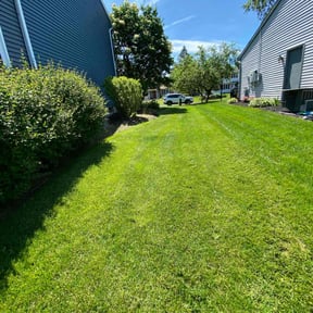 yard service by Jose Martinez landscape services reviewed on August 15, 2025