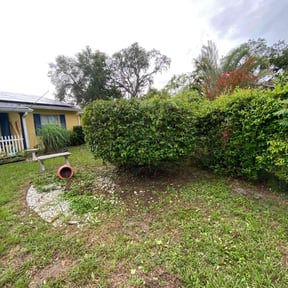 Bush Trimming by Davino Handy Services reviewed on April 27, 2023