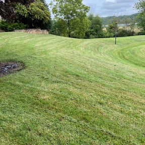 lawn service by Green lawn's reviewed on September 24, 2023