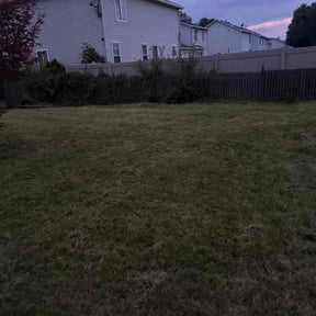 Flower Bed Weeding by Pitchfork Landscaping reviewed on August 27, 2026