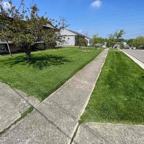 yard work by Amazon Lawn and Landscape reviewed on November 19, 2025