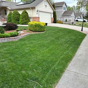 yard service by Carbon Dioxide Recyclers reviewed on September 14, 2025