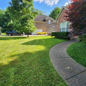 grass maintenance by Haines Lawn Care reviewed on May 29, 2025