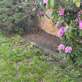 Flower Bed Weeding by JD Lawn Care reviewed on May 10, 2026