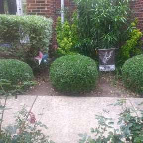 Bush Trimming by Trophy Homes Property Care LLC reviewed on August 17, 2025