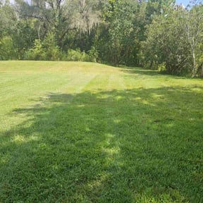 lawn care by Ihandy2you reviewed on July 19, 2023