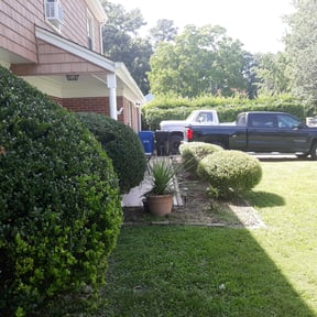 Bush Trimming by Royal Scenery LLC reviewed on August 18, 2025