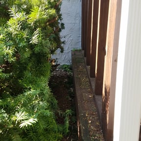 Bush Trimming by Spearit Lawn Care &amp; Pressure Washing reviewed on April 17, 2024