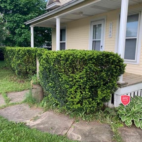 Bush Trimming by Boss Outdoor Service reviewed on August 15, 2025