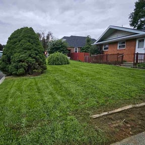 yard service by Schuetz Landscaping Services reviewed on August 17, 2025