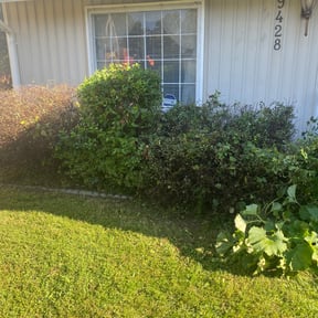 Bush Trimming by A.G.R lawn service reviewed on August 16, 2025