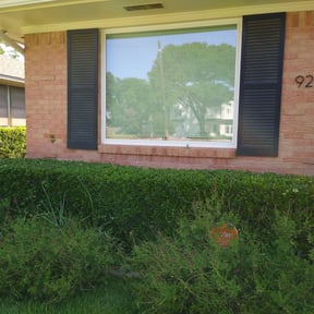 Bush Trimming by VSK LLC reviewed on November 19, 2025