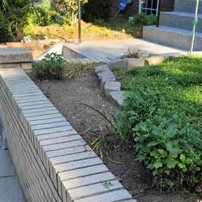 Flower Bed Weeding by RakeEm&#039;upCee reviewed on June 11, 2025