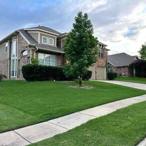 yard service by Three Kings Grounds Keeping reviewed on November 24, 2025