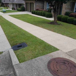 yard care by Pacific Grove Pruning Co reviewed on August 19, 2025