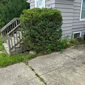 Bush Trimming by HopeScape reviewed on October 18, 2025