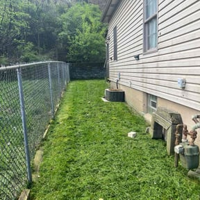 lawn maintenance by Aplus Home Helpers reviewed on October 7, 2024