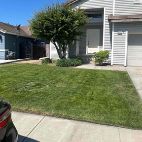 lawn care by Vill’s landscaping reviewed on October 27, 2024