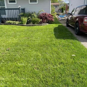 Long Grass Cleanup by Township Mowing reviewed on August 20, 2025